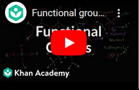 Functional Groups - Khan Academy video