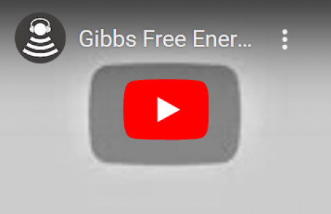 Gibb's Free Energy - Bozeman Science video