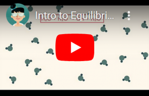 Introduction to Equilibrium - Teacher's Pet video