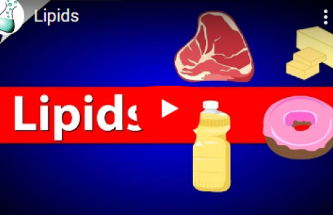 Thumbnail for the video on lipids