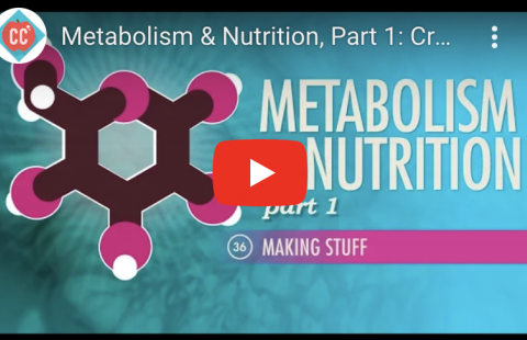Metabolism - Overview Youtube video screenshot