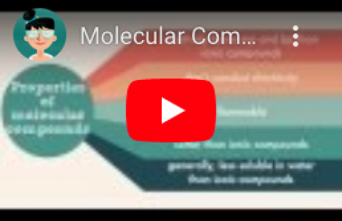 Molecular and Ionic Compounds - Teacher's Pet