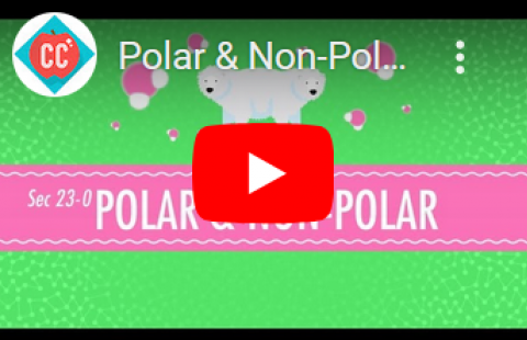 Polarity - Crash Course video