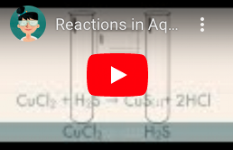 Precipitation RXNs - Teacher's Pet - solubility rules