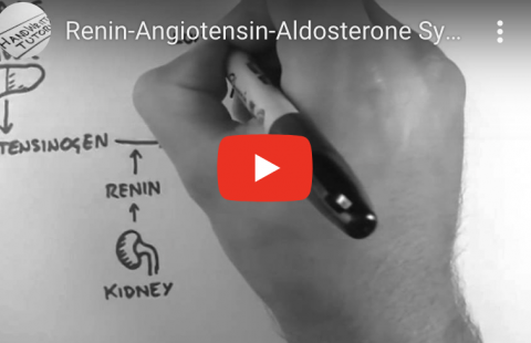 Renin-Angiotensin-Aldosterone System Youtube video screenshot