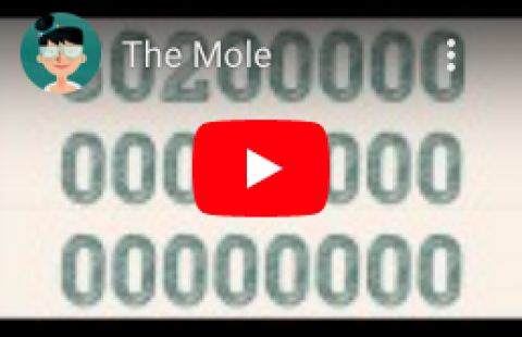 The Mole - Teacher's Pet