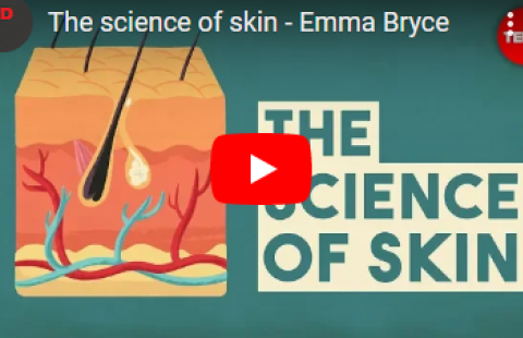 Thumbnail for the video on the science of skin