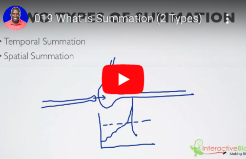 What is Summation youtube screenshot