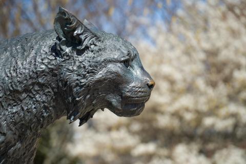 Photo of UNH Wildcat Statue