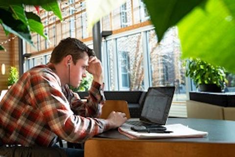 student looking at laptop