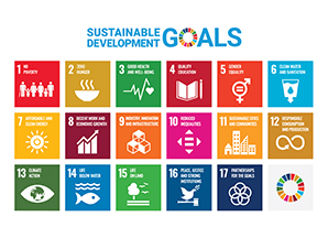 UN's Sustainable Development Goals icon chart