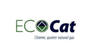 EcoCat logo