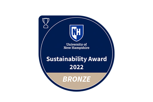 bronze sustainability award icon