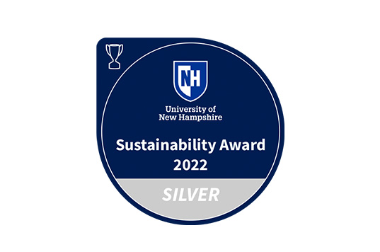 silver sustainability award icon