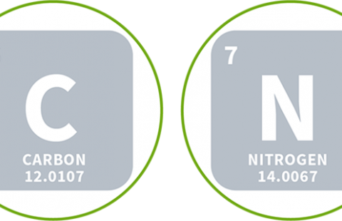 carbon and nitrogen icons