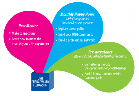 Changemaker fellowship box