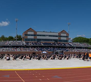 wildcat stadium