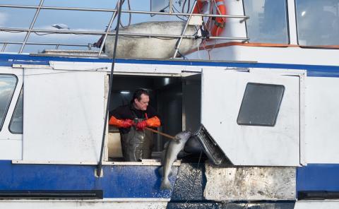 fisherman at work on a boat
