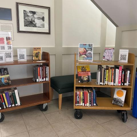 library display