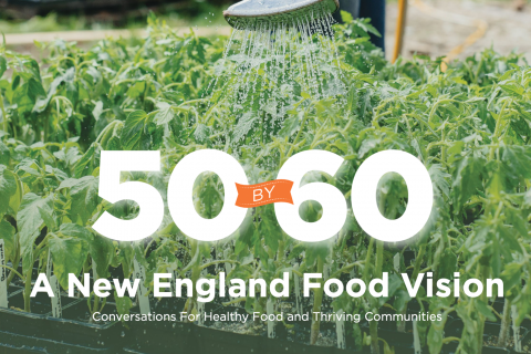 plants being watered in the background of the 50 by 60 New England Food Vision logo