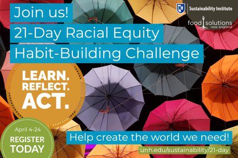 Racial Equity Challenge poster