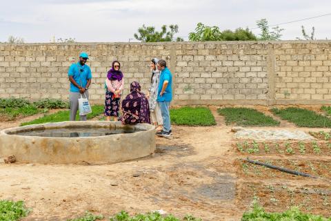 students talking with Senegalese people at a farm