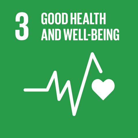 SDG 3 Good Health and Well-being icon with heart and jagged line