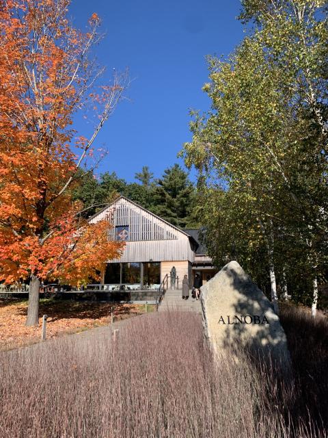 a building in the background with fall trees in the foreground