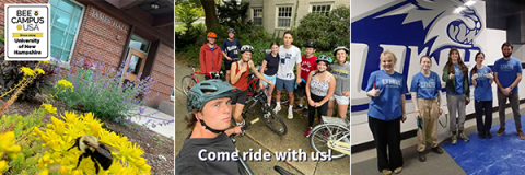 three photos showing a bee on a flower, students wearing bike helmets and students standing together smiling