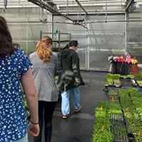 people walking in a greenhouse