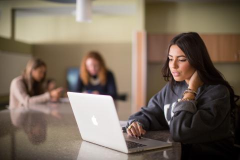 Student sitting at a table looking at their laptop
