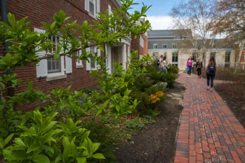 Looking along pathway to Hood House with green plants in the foreground