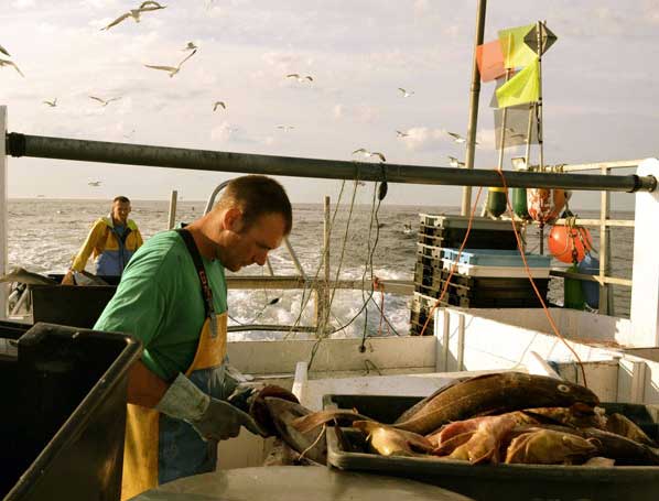local seafood