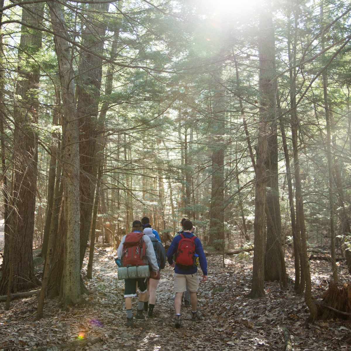 Student walking on a trail in UNH College Woods