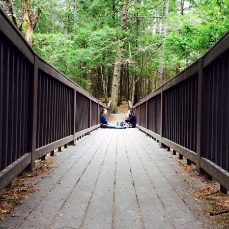 Students talking on a bridge in UNH's College Woods