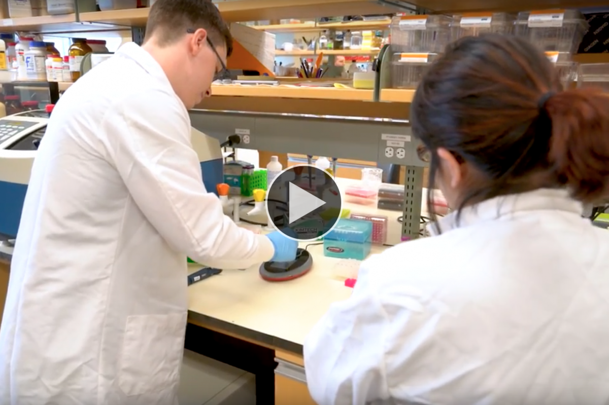 UNH graduate students working in the Hubbard Genome Center