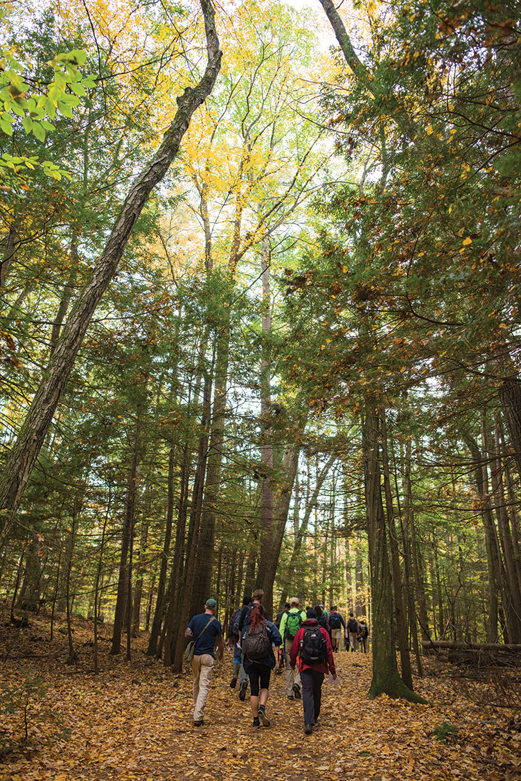 UNH students walking in College Woods