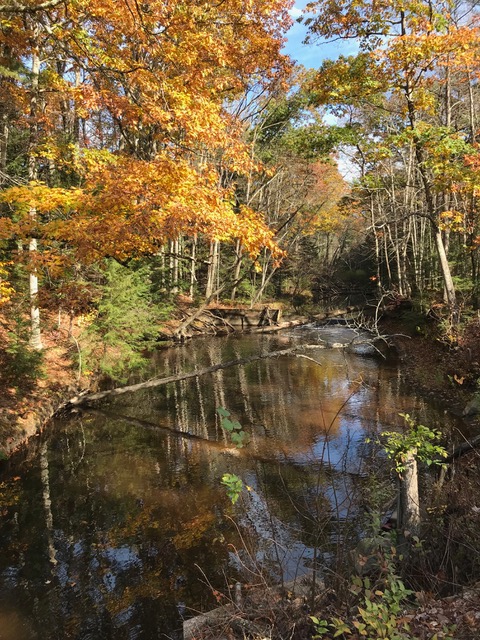 Oyster River in autumn