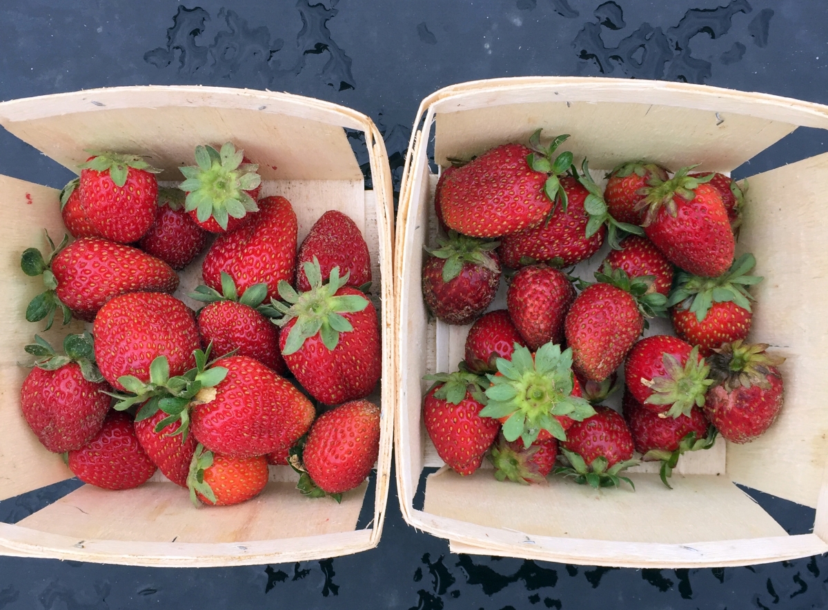 two quarts of strawberries