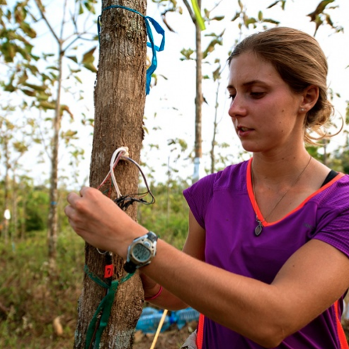 UNH graduate student conducting research