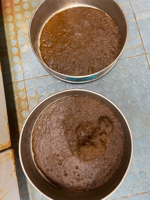 Two round sieves completely full of brown algae.