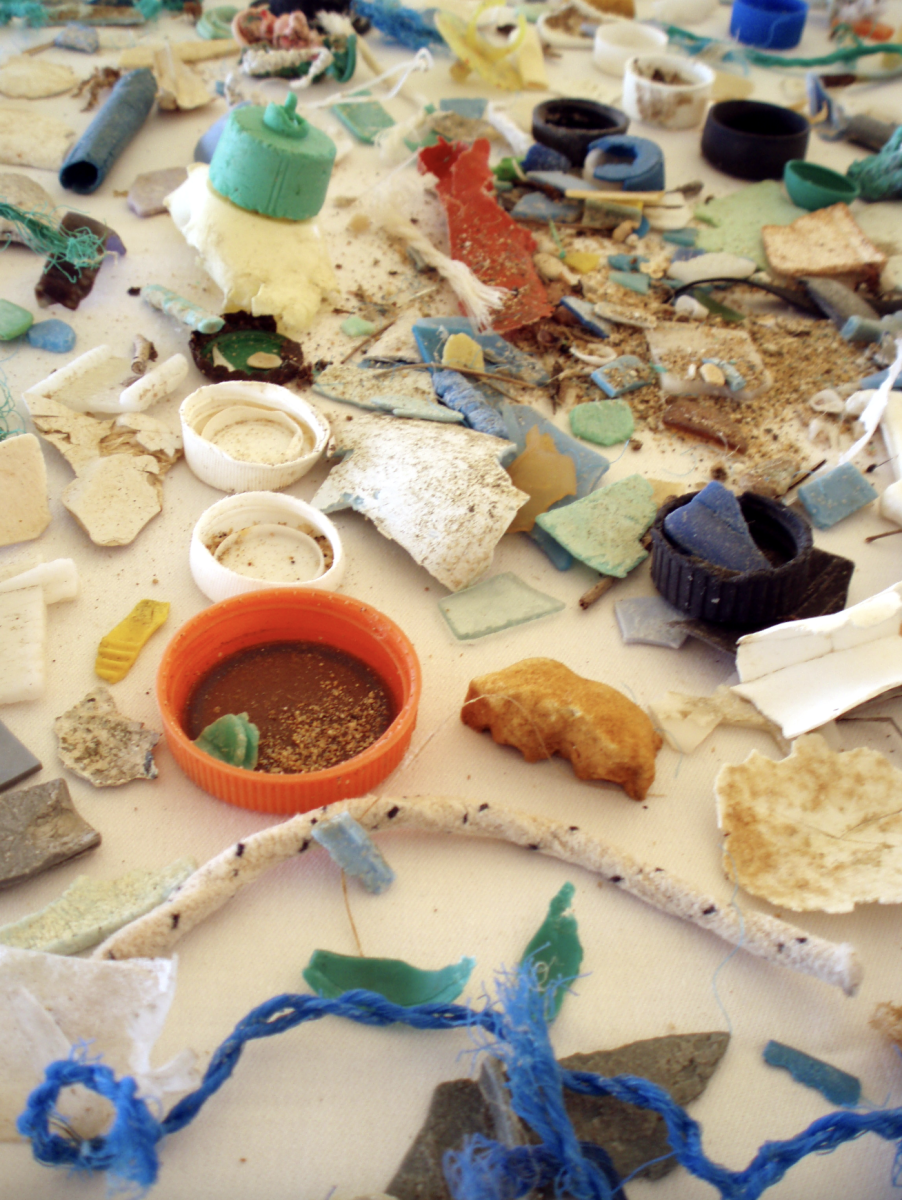 Microplastics pulled from the ocean