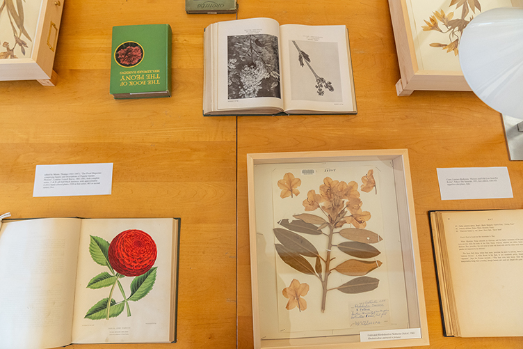 Table view of volumes in botanical book collection