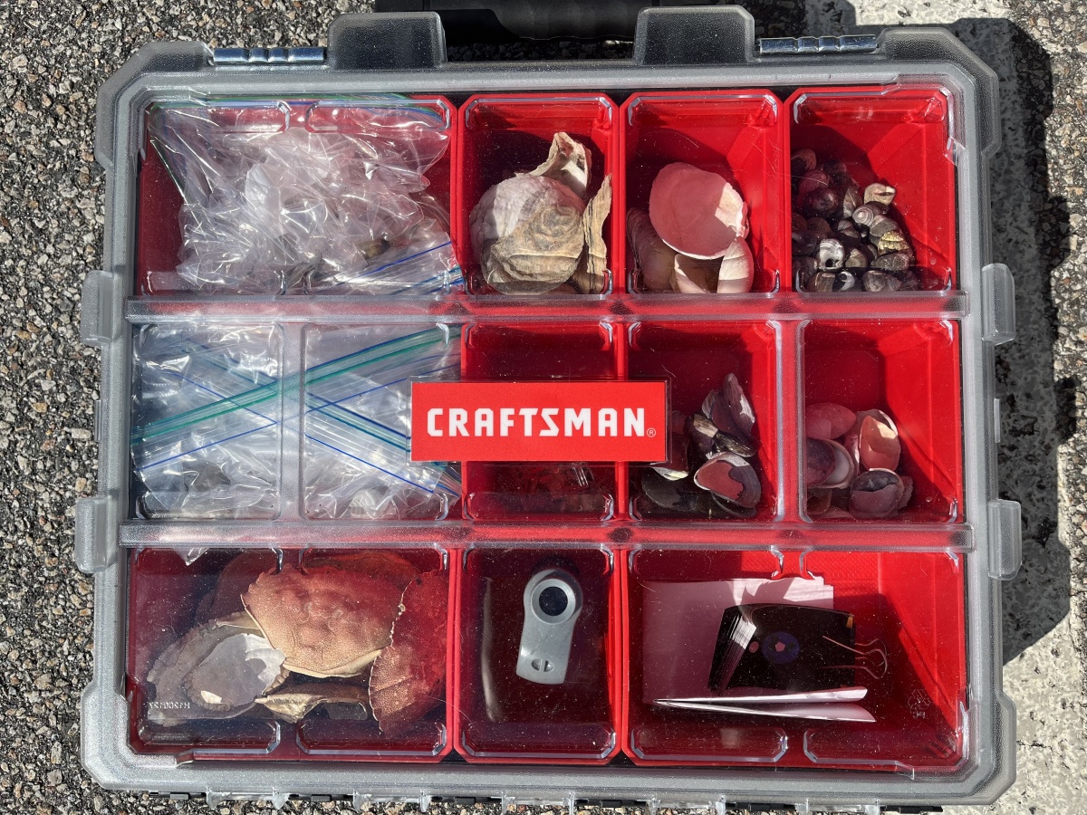 Red Craftsman toolkit filled with sea shells 