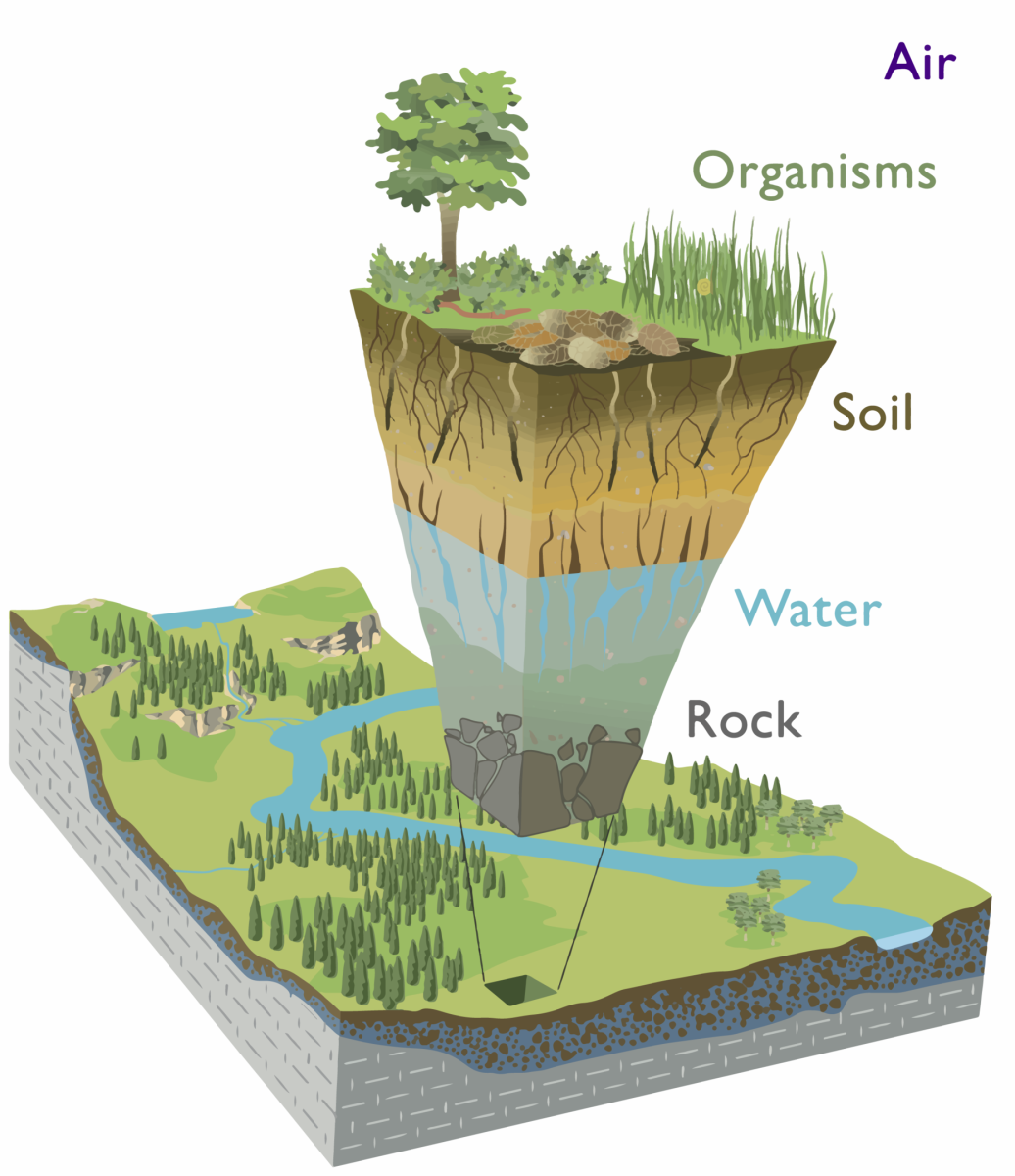 A diagram of the Critical Zone with labels “Air,” “Organisms,” “Soil,” “Water,” and “Rock.”