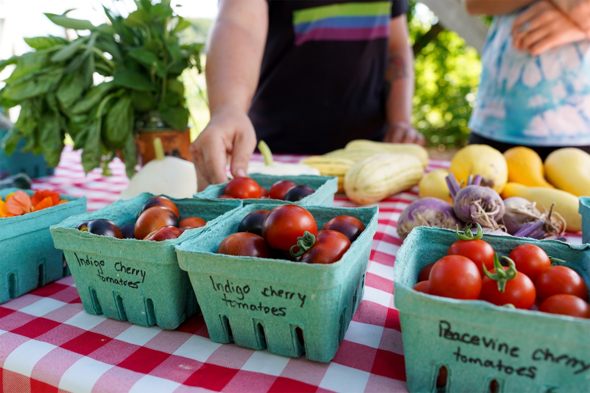 A photo showing a farmers’ market vendor table with green pint containers holding cherry tomatoes on a checkered tablecloth.