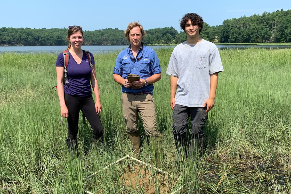 From left, Marjorie Mednikova, Gregg Moore and Reece Ciampitti stand in front of a low marsh study plot.