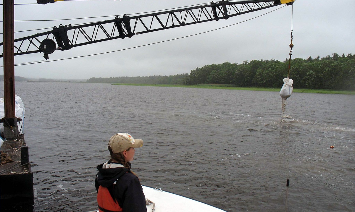 Krystin Ward watches as a crane dumps oysters into Great Bay.