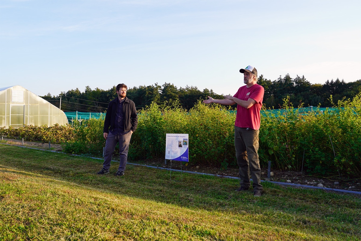 UNH graduate student Noah Abasciano (left) and associate professor Iago Hale discuss the Tartary buckwheat breeding program during the fall horticultural research field day event.