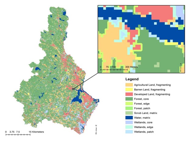A thematic map of land cover fragmentation generated from Landsat imagery. 